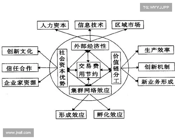 青训体系创新发展路径探讨与实践案例分析